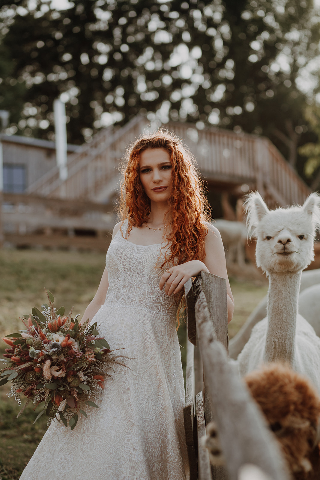 Alpaka Weddingshooting